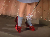 The wizard of OZ
